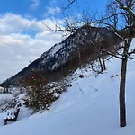 Erika